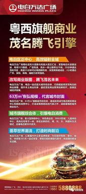 电白电视台爆料视频,揭秘事件背后真相