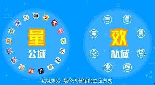 流量最新爆料,揭秘娱乐圈最新动态与热点事件