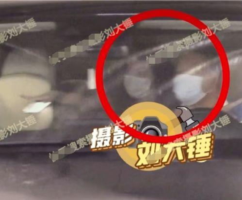 陈伟霆机枪爆料视频大全,揭秘明星幕后故事