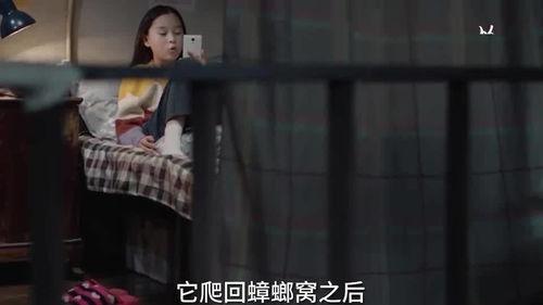 太阳姐姐爆料了吗视频播放,揭秘幕后故事