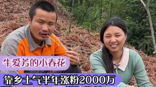 爆料春花的视频,一场视觉盛宴背后的故事