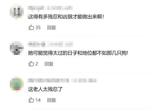 爆料婆婆视频下载网站,热门资源一网打尽