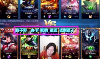 浪仙王者爆料视频下载,揭秘视频背后的精彩故事