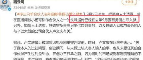 爆料三只羊最新消息,揭秘幕后真相与惊人内幕！