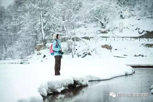 最新爆料六图雪地图片下载,冬日雪地美景，带你领略纯净自然之美”