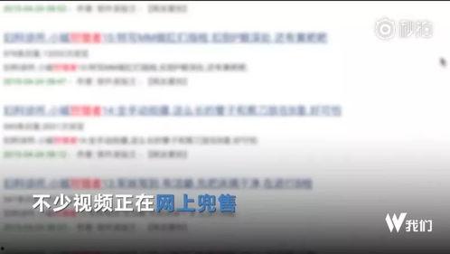 视频搜索爆料网站,揭秘幕后真相与热门事件