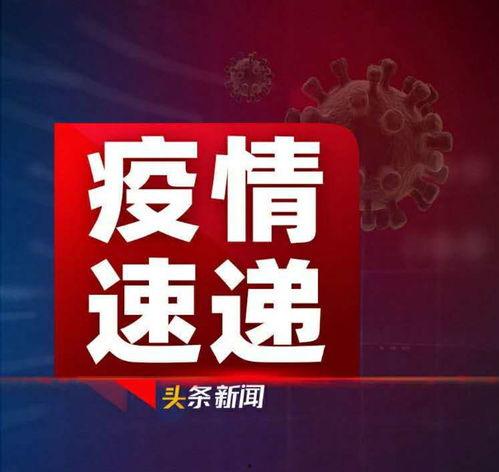 香港新闻头条爆料照片,新闻头条背后惊人照片曝光