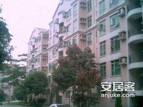 友邻公寓爆料视频,真实生活场景引发热议
