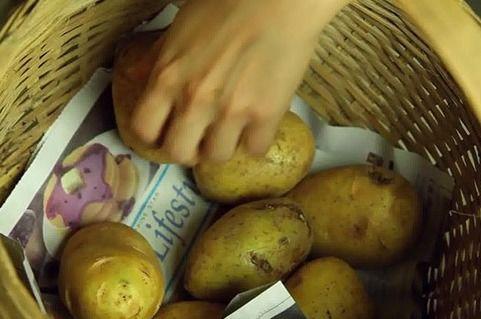 网友爆料土豆生芽视频下载,揭秘发芽土豆的神奇功效