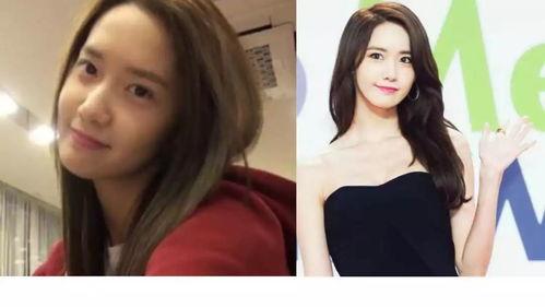 女明星爆料模板大全视频,揭秘娱乐圈幕后真相，揭秘模板大全视频背后的秘密