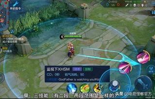 王者最新皮肤技能爆料,新皮肤技能大揭秘，神秘英雄华丽蜕变！