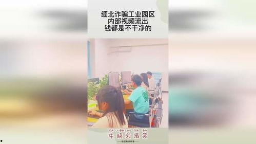 缅北视频流出爆料,视频爆料揭示的黑暗面