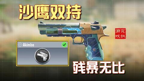 小吧主爆料沙鹰视频,小吧主爆料视频背后的真相