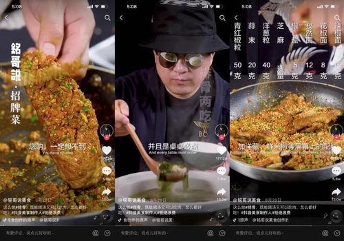 叶哥爆料食物视频大全,视频大全带你领略各式佳肴风采
