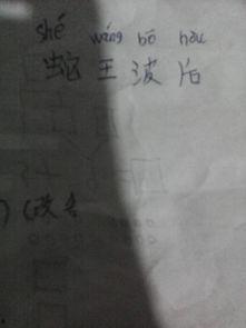 蛇王波后国语在线观看,穿越时空的奇幻之旅