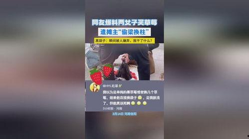 网友爆料草莓视频,网友爆料揭示网络短视频背后的秘密