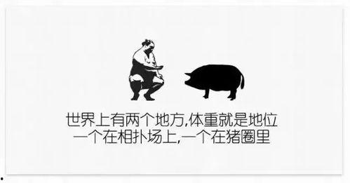 最新人文爆料文案短句,最新爆料短句集锦