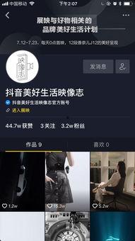 抖音美好生活爆料视频,美好生活背后的温馨瞬间