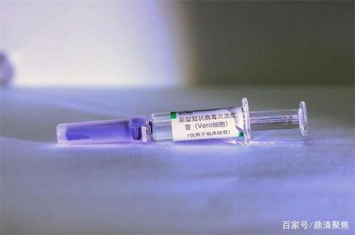 最新爆料新冠疫苗有哪些,揭秘新型疫苗研发动态与突破