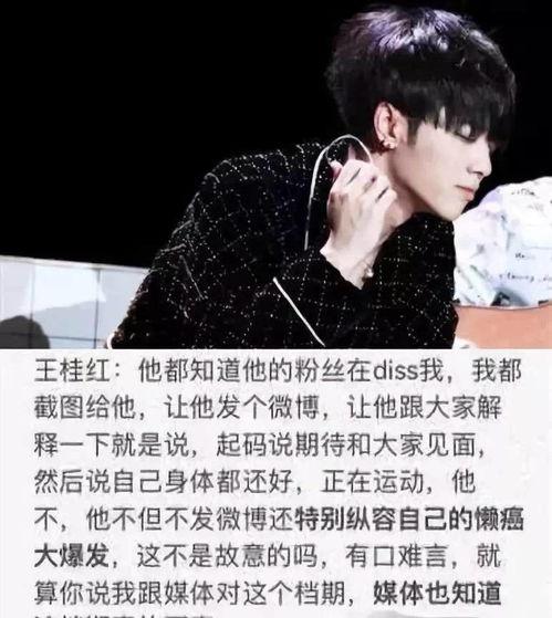 华晨宇爆料语音视频播放,揭秘幕后故事，语音视频播放背后的精彩瞬间