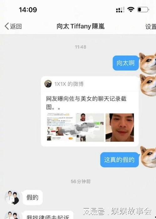女艺人微博爆料视频大全,揭秘娱乐圈幕后真相