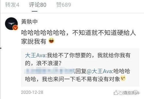 彩虹夫妇大王爆料视频,揭秘明星夫妻幕后故事