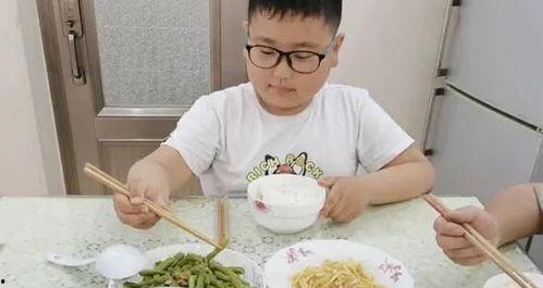 配餐爆料视频大全最新版,美食诱惑与营养均衡的完美融合