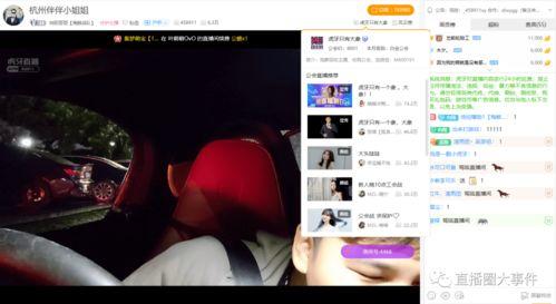 向阳哥哥爆料视频大全下载,揭秘幕后真相，带你走进娱乐圈风云