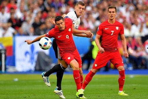 荷兰对波兰最新爆料,真相令人震惊！