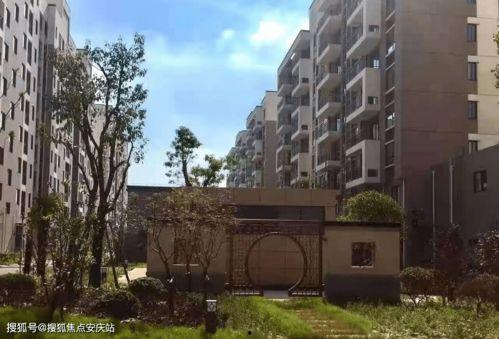 蛇姐最新爆料网址大全,全网最新爆料网址大全汇总