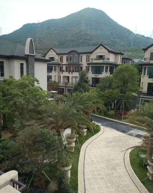 蛇姐最新爆料网址大全,全网最新爆料网址大全汇总