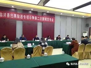 临沭县最新爆料新闻报道,揭秘背后惊人真相！