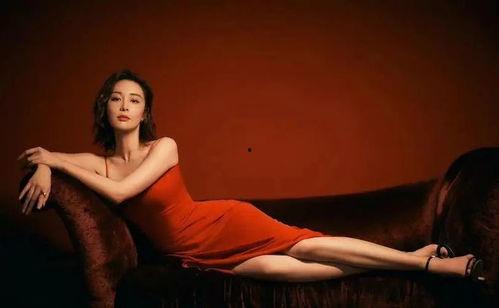 大嫂爆料八卦视频大全,揭秘娱乐圈不为人知的八卦风云