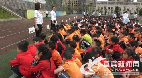 西江中学爆料新闻最新,揭秘校园里的惊人真相！