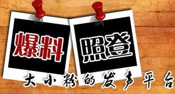 火热新闻爆料,最新热点事件背后的惊人真相