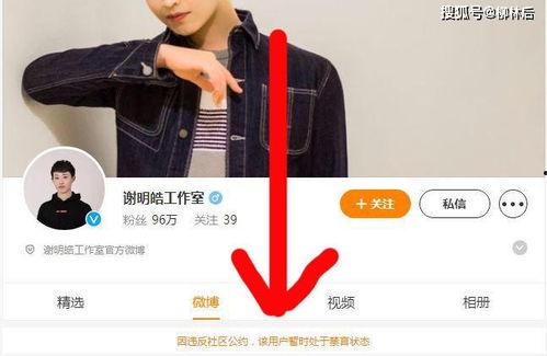 林俊杰被爆料视频下载,真相与争议