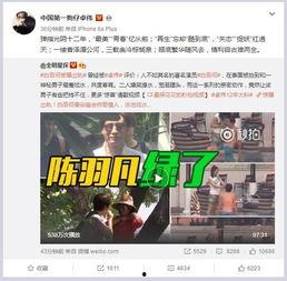 爆料陈年故事视频播放大全,揭秘历史瞬间，重温经典瞬间
