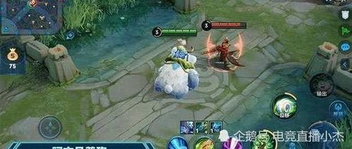 王者阿古朵爆料最新消息,神秘新技能即将上线，游戏体验再升级！