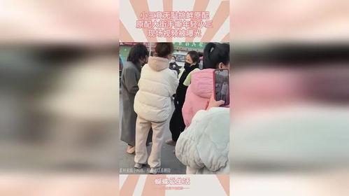 爆料无耻小三视频播放全集,全集揭秘惊人真相