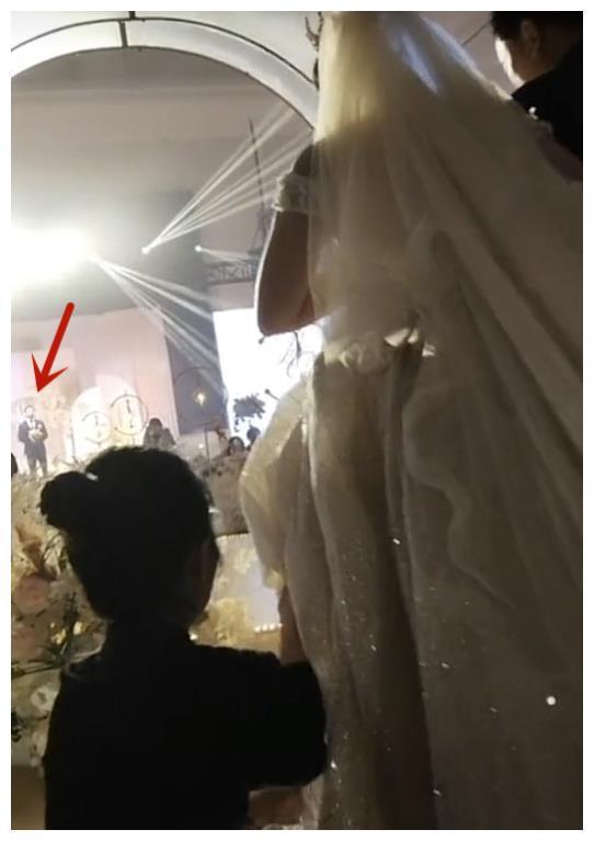 嘴哥最新爆料结婚,明星夫妻甜蜜大婚，浪漫瞬间引网友热议