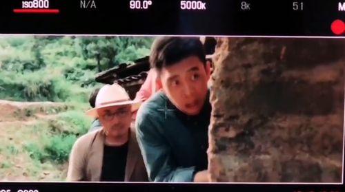 陶虹车祸爆料视频最新,事故真相与公众关注