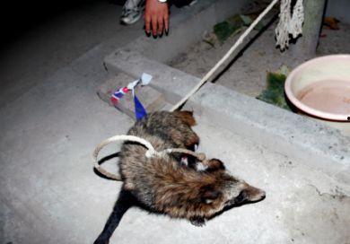 武先生最新爆料,娱乐圈最新爆料大揭秘！