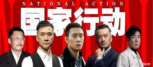 国家行动电视剧全集在线观看,揭秘全剧精彩瞬间，在线观看不容错过
