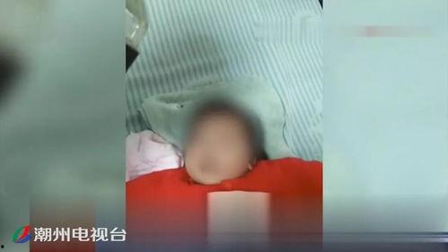 新闻爆料胚胎事件视频,揭秘背后惊人真相