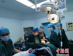 新闻爆料胚胎事件视频,揭秘背后惊人真相