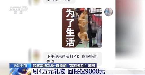 杨先生品牌爆料了吗视频,揭秘幕后真相，视频内容深度解析