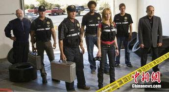 csi第十五季在线观看,罪案追踪新篇章