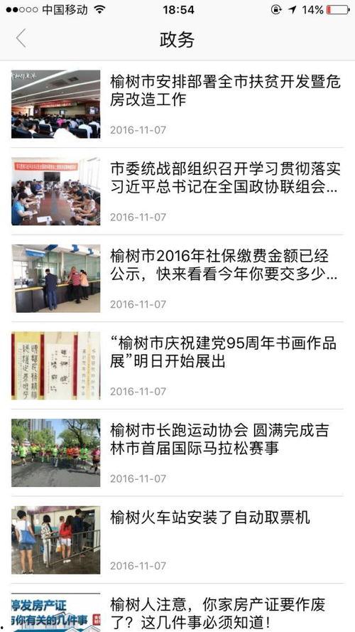 榆树市最新新闻爆料,揭秘重大事件背后的真相