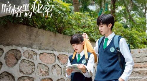 娱乐爆料梁洁视频播放,娱乐爆料引发网友热议