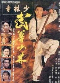 武尊少林在线观看,在线观看，领略中华武术巅峰对决